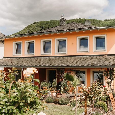Wein- Und Gaestehaus Schwaab&Sohn Erden Eksteriør bilde