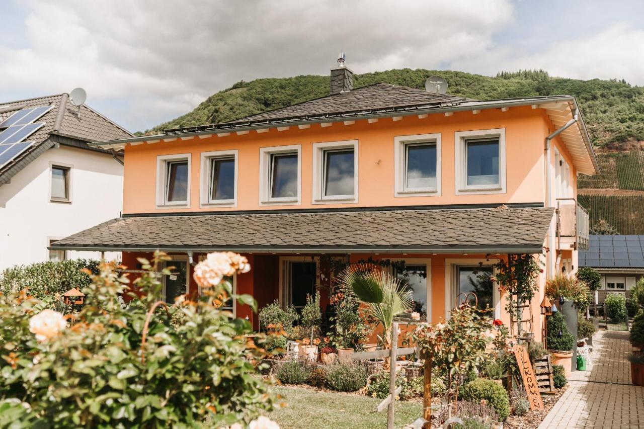 Wein- Und Gaestehaus Schwaab&Sohn Erden Eksteriør bilde