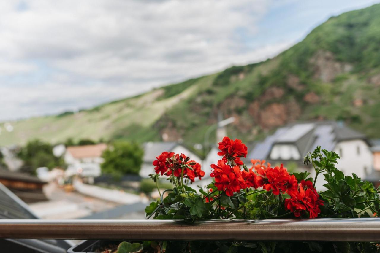 Wein- Und Gaestehaus Schwaab&Sohn Erden Eksteriør bilde